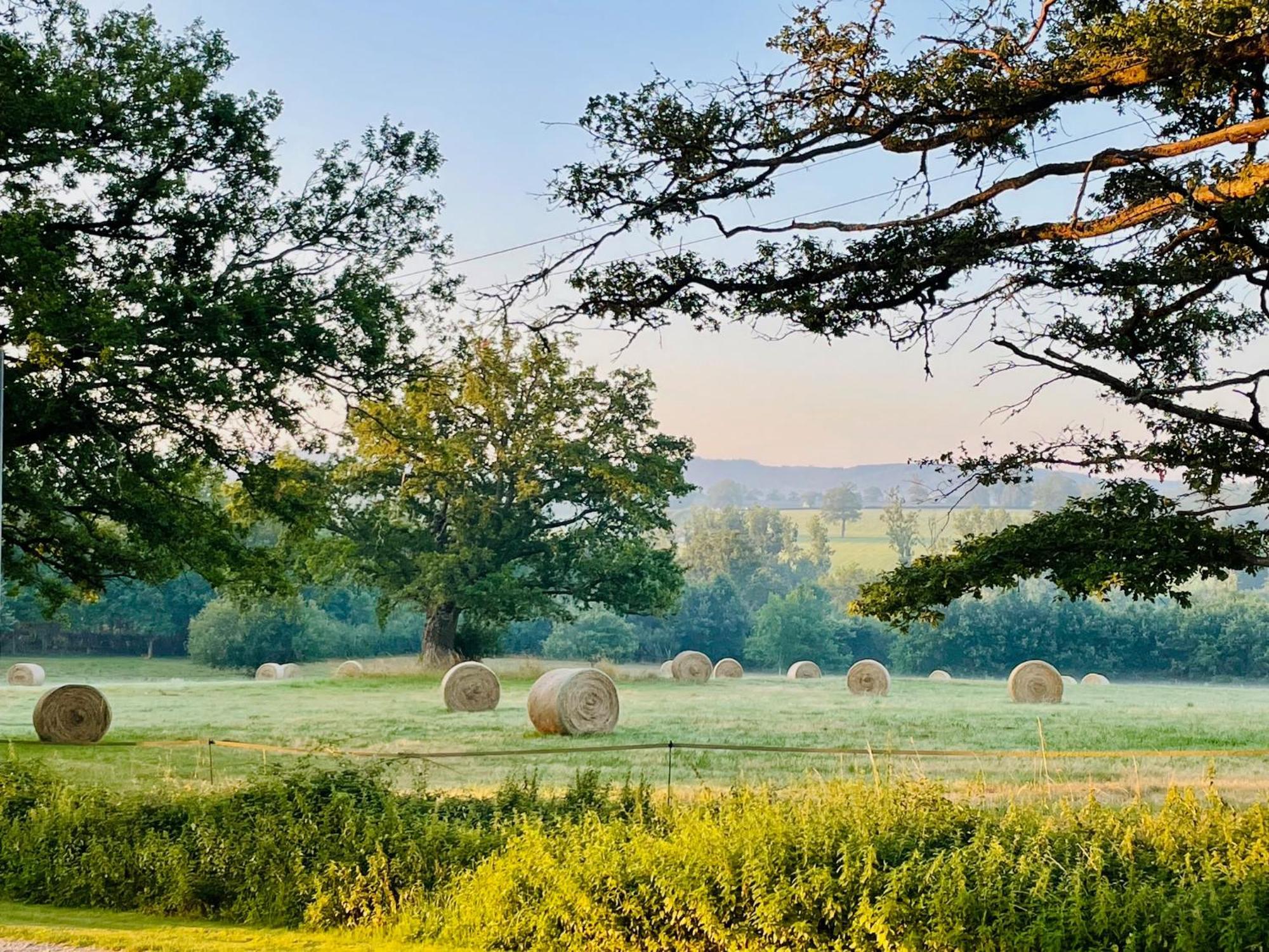 Domaine Le Rianon Vila Malleret-Boussac Exterior foto